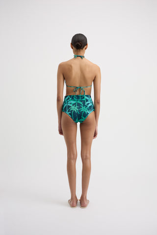 Tara Bottoms - Palm Print